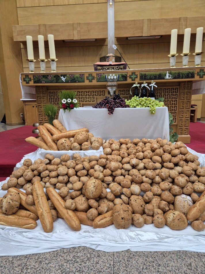 bb8979ae3a93427b521e527417063766_1775747858_716.jpg bb8979ae3a93427b521e527417063766_1775747858_716.jpg