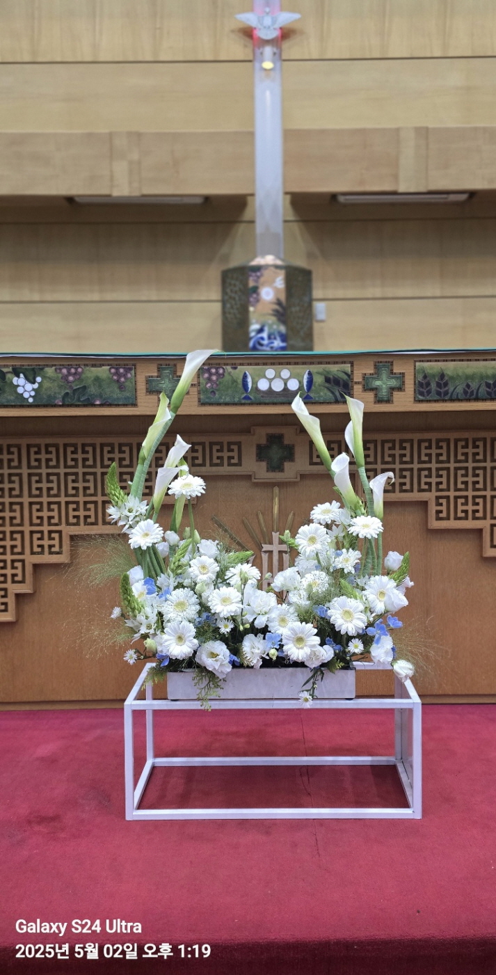 bb8979ae3a93427b521e527417063766_1775747858_929.jpg bb8979ae3a93427b521e527417063766_1775747858_929.jpg